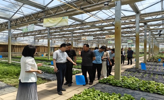 2024年6月27日，中國(guó)綠色食品發(fā)展中心相關(guān)領(lǐng)導(dǎo)蒞臨農(nóng)業(yè)總公司考察調(diào)研_副本.jpg